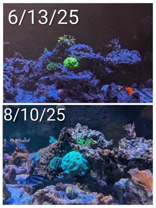 1000008075.jpg