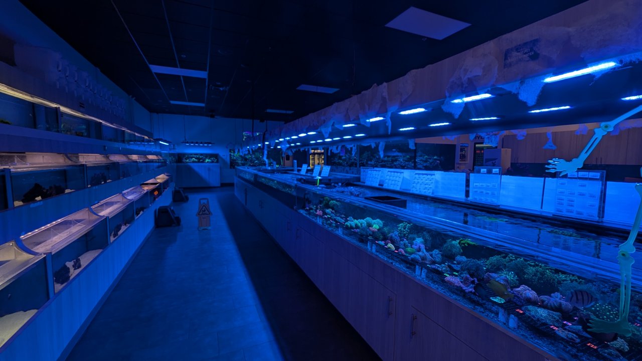 1000008726.jpg 1000008726.jpg