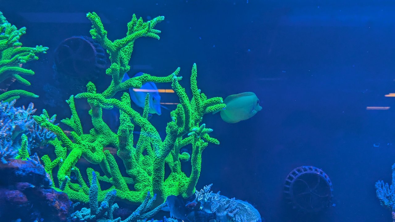 1000008733.jpg 1000008733.jpg