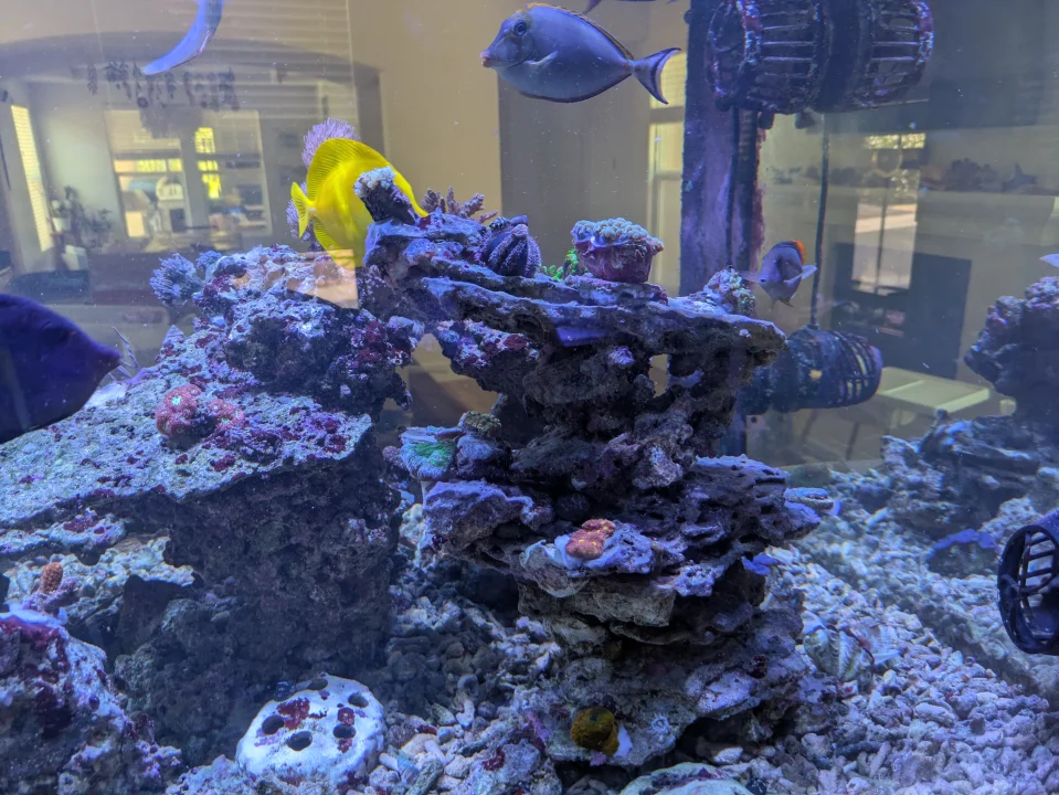 1000009046.webp