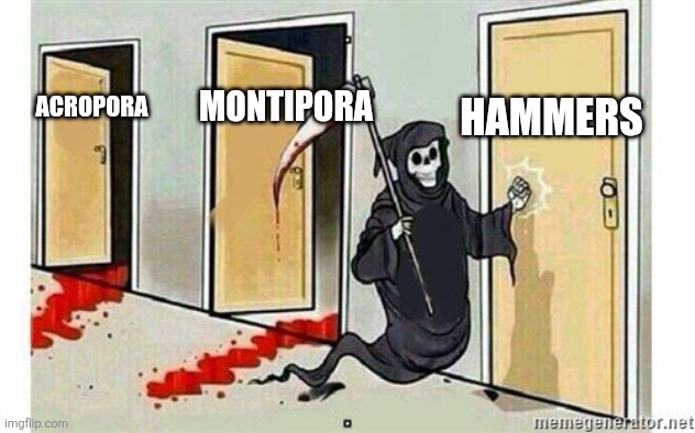 1751300148882.jpeg