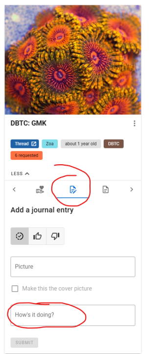 1753128569734.png
