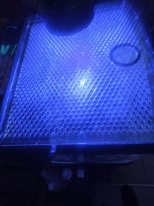 17573595621846650572816746317753.jpg