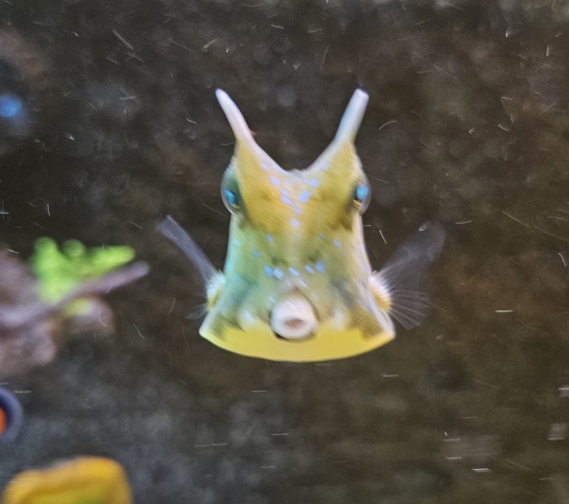 20250317_173640.jpg