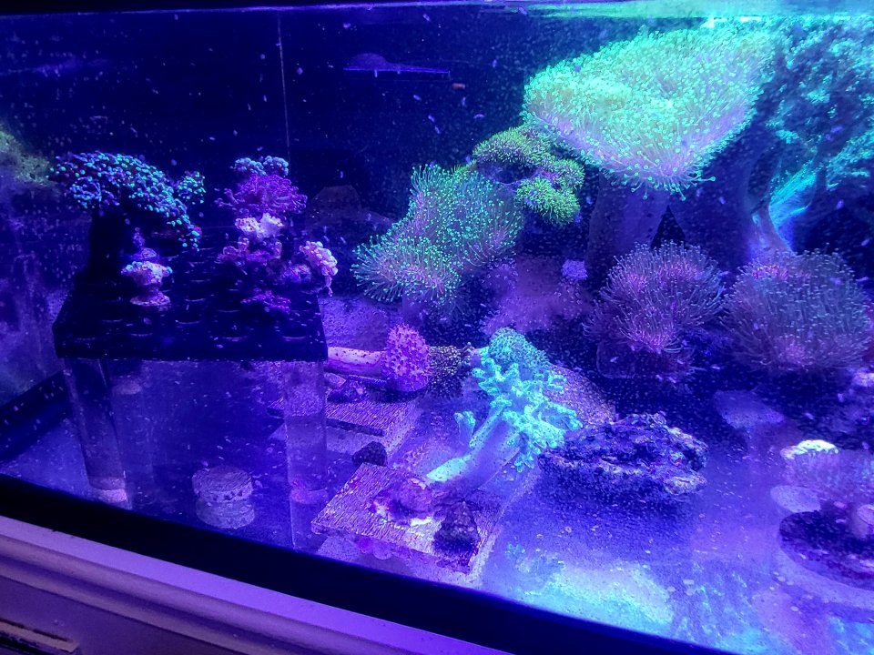 20250504_181612.jpg