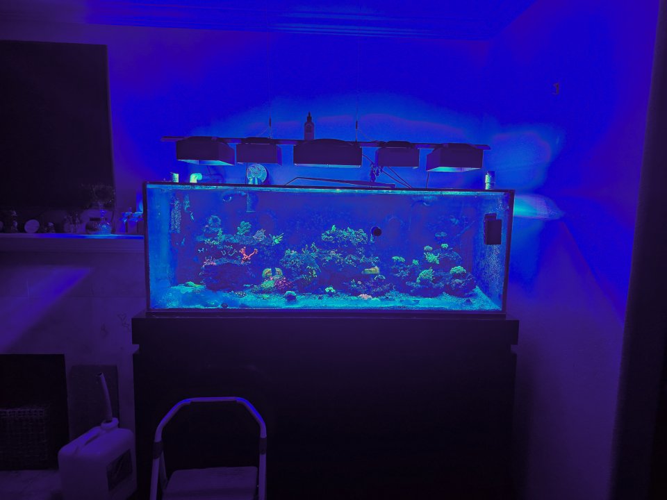 20250514_205854.jpg