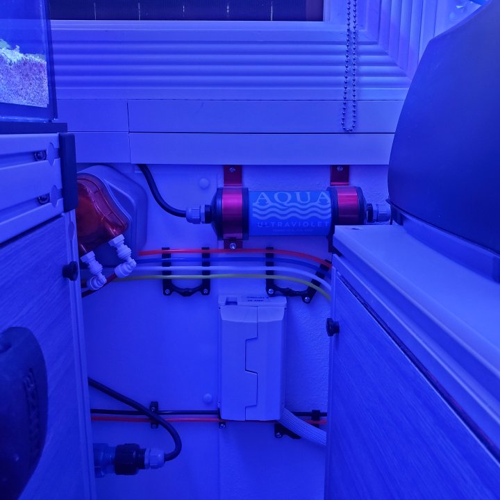 20250519_202050.jpg