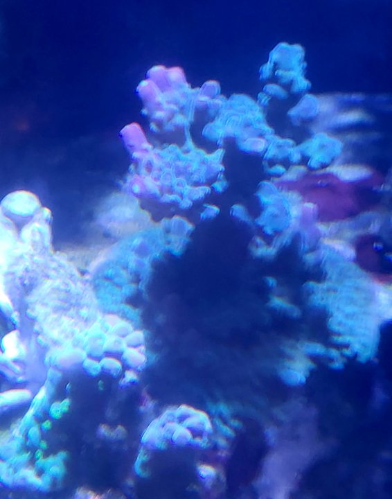 20250602_192404.jpg