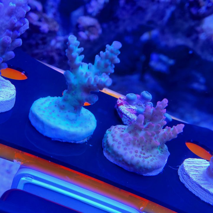 20250610_191815.jpg