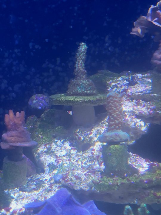 20250616_133503.jpg