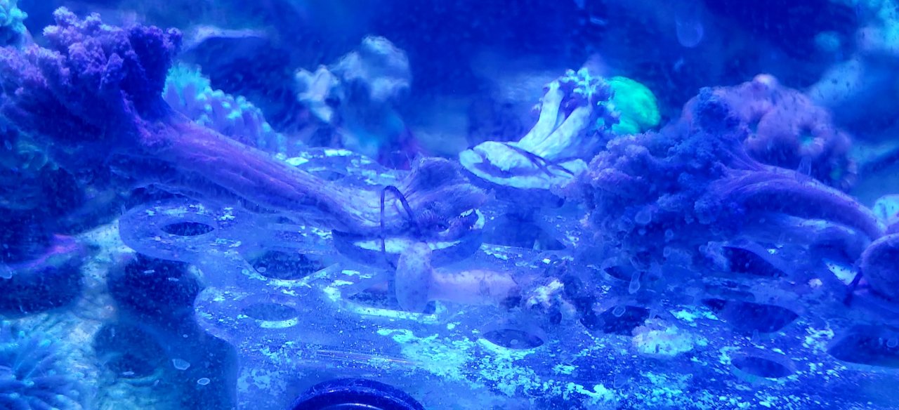 20250618_202200.jpg
