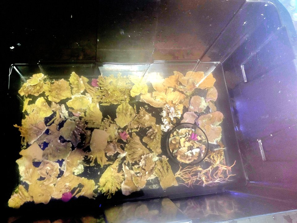 20250618_202253.jpg