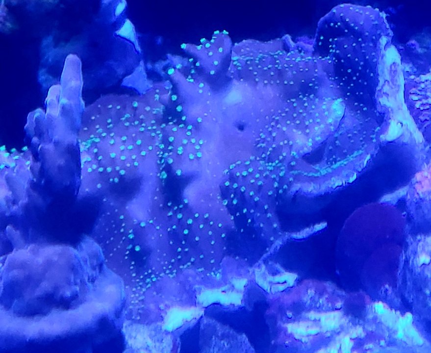 20250623_205436.jpg