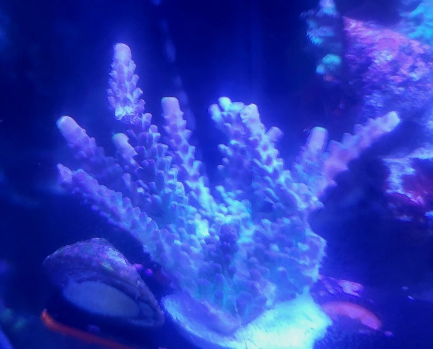20250717_193641.jpg