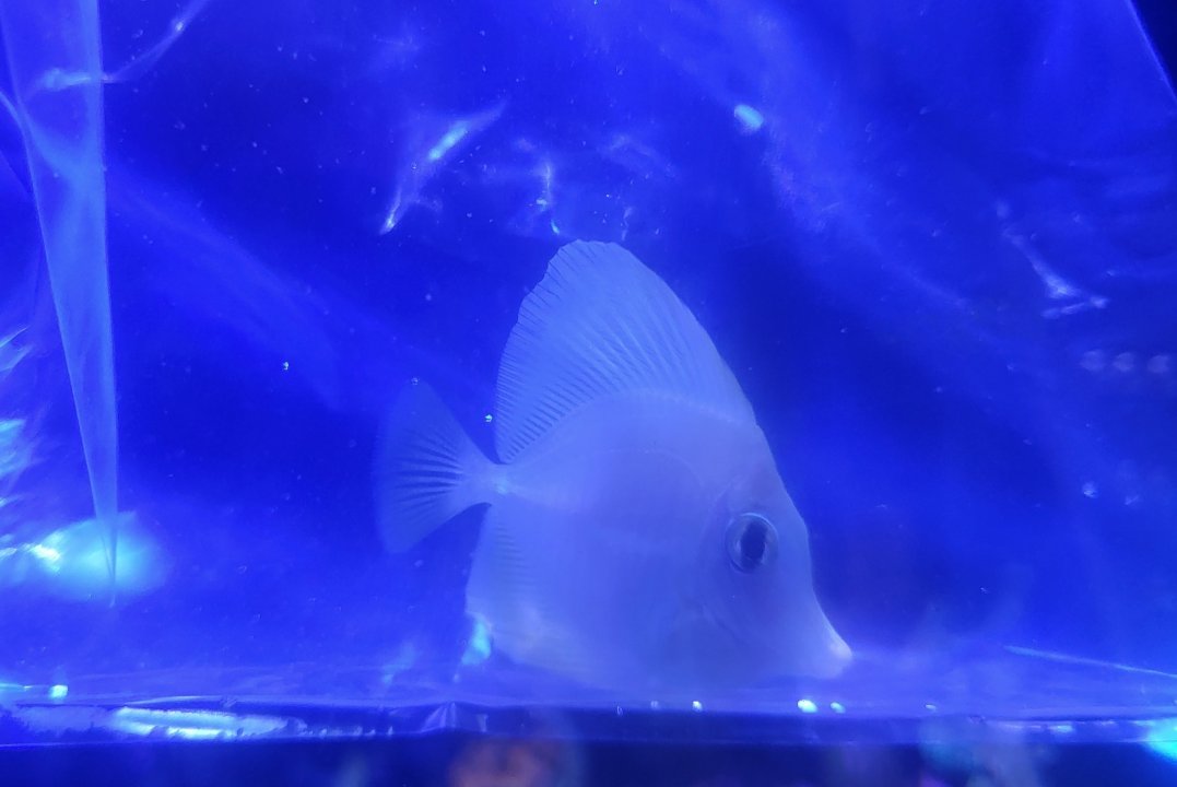 20250722_122059.jpg