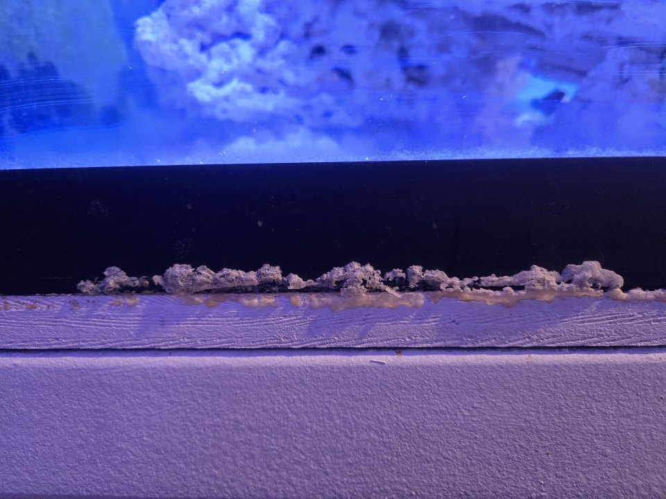 20250728_162954.jpg