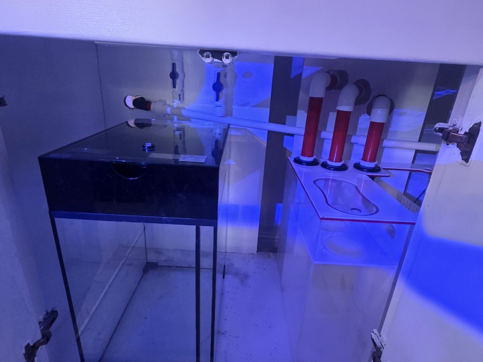 20250804_184240.jpg