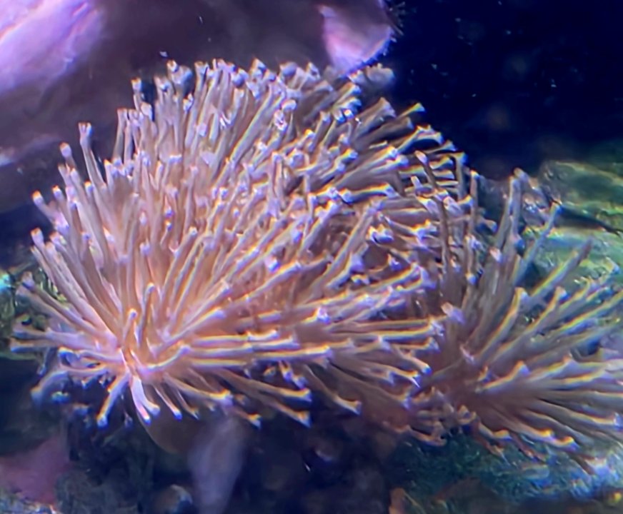 20250820_192051.jpg