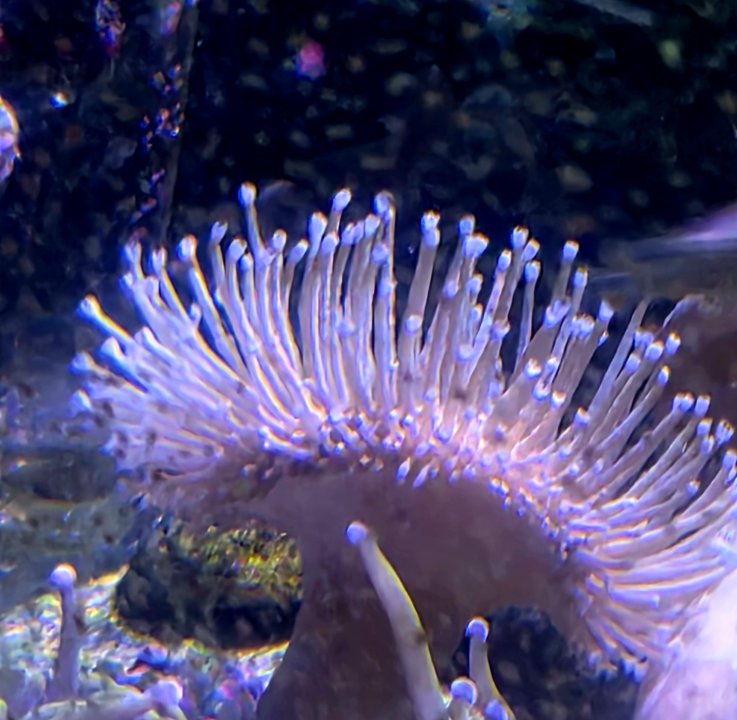 20250820_192107.jpg