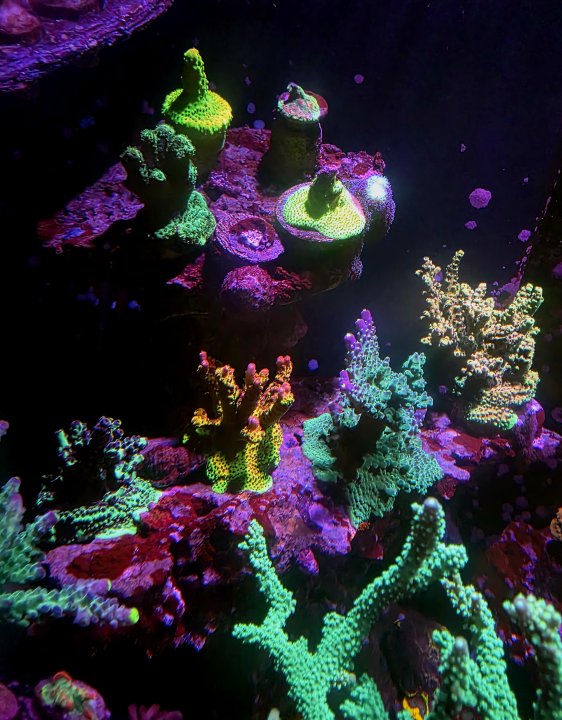20250904_213313.jpg