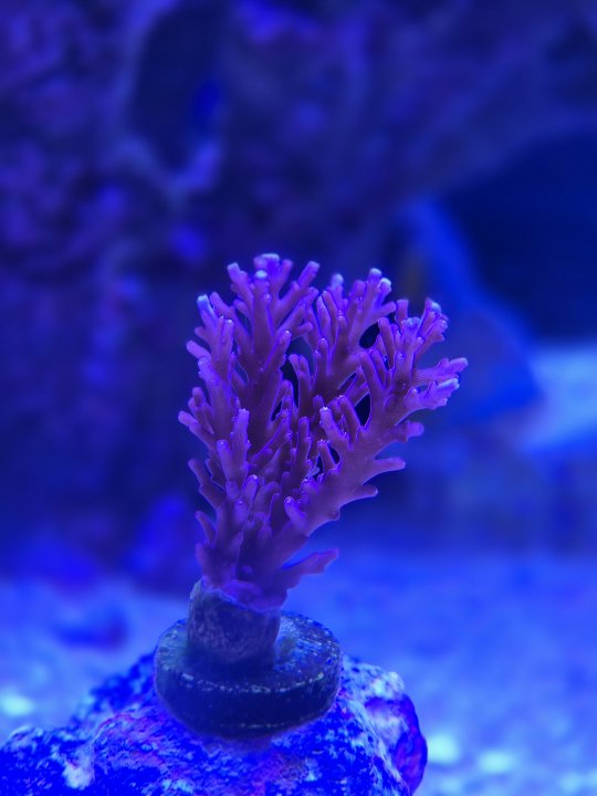 20250904_214246.jpg