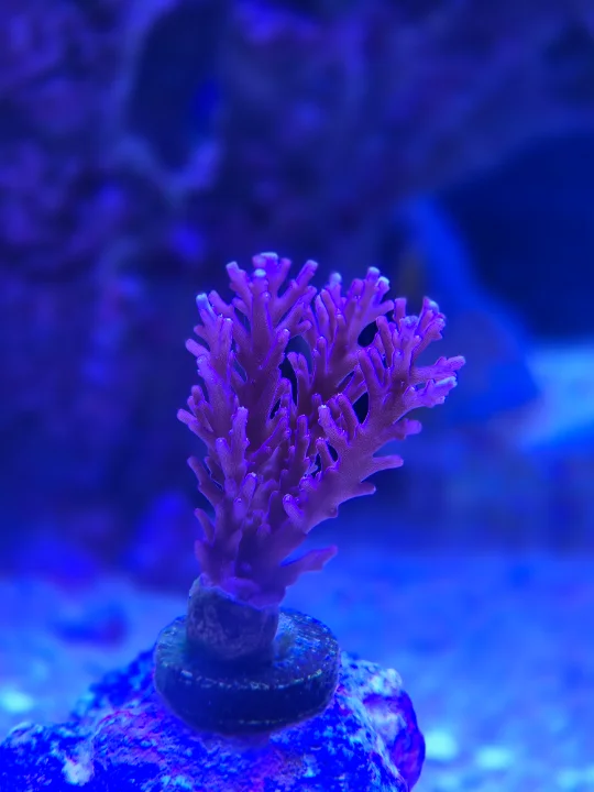 20250904_214246.webp