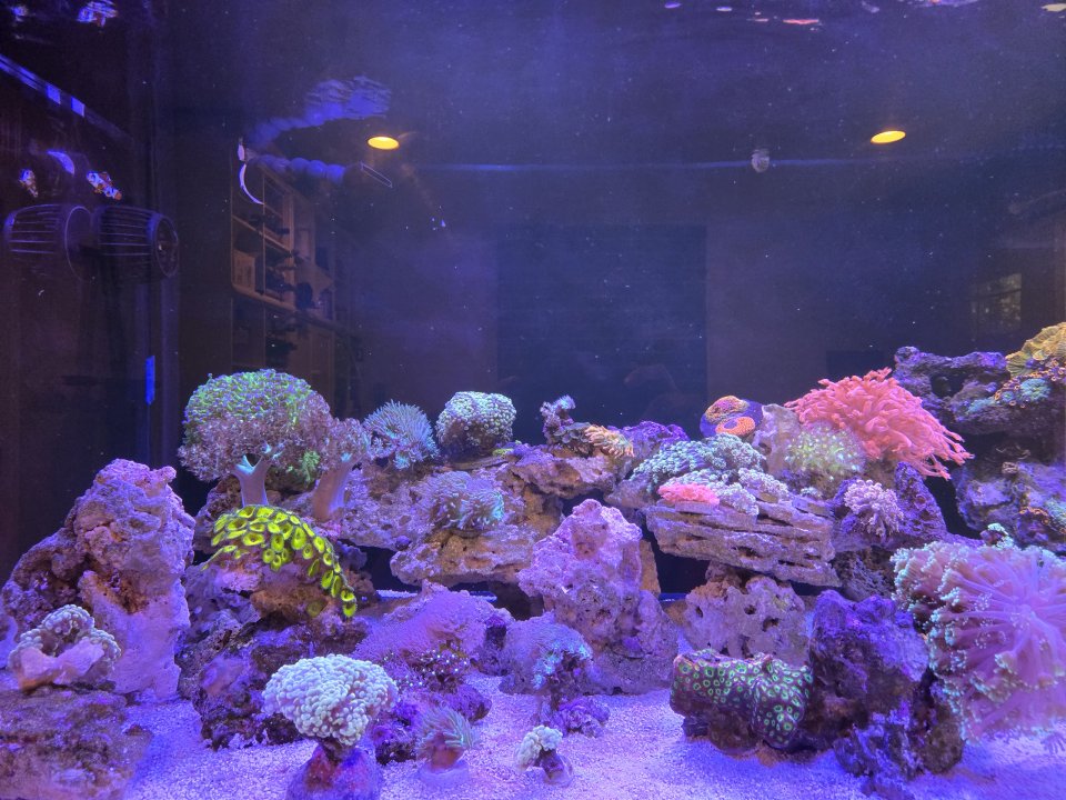 20250908_162156.jpg