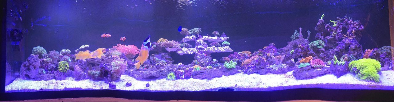 20250911_155536.jpg