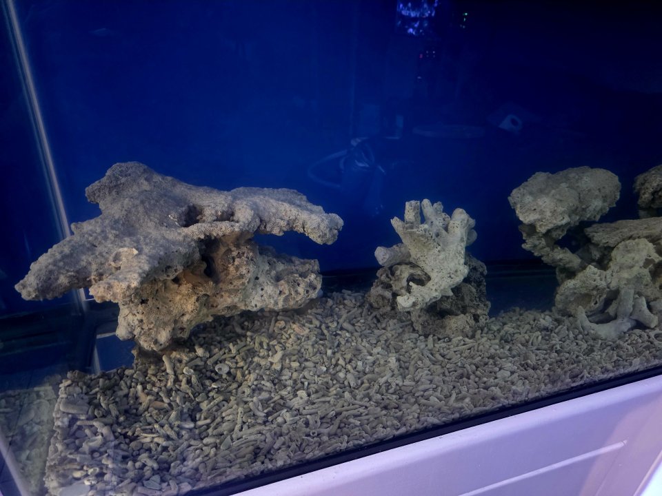 20250916_205148.jpg