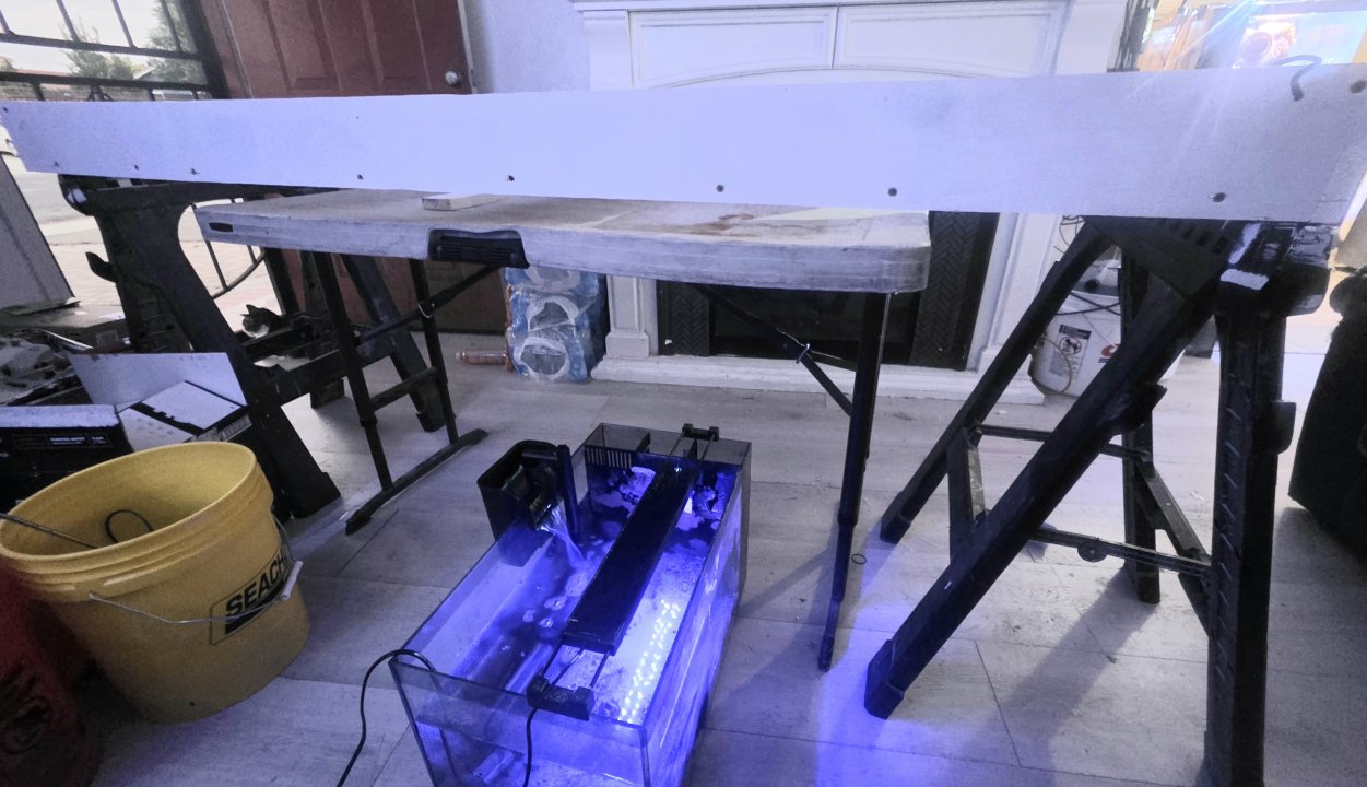 20250929_185750.jpg