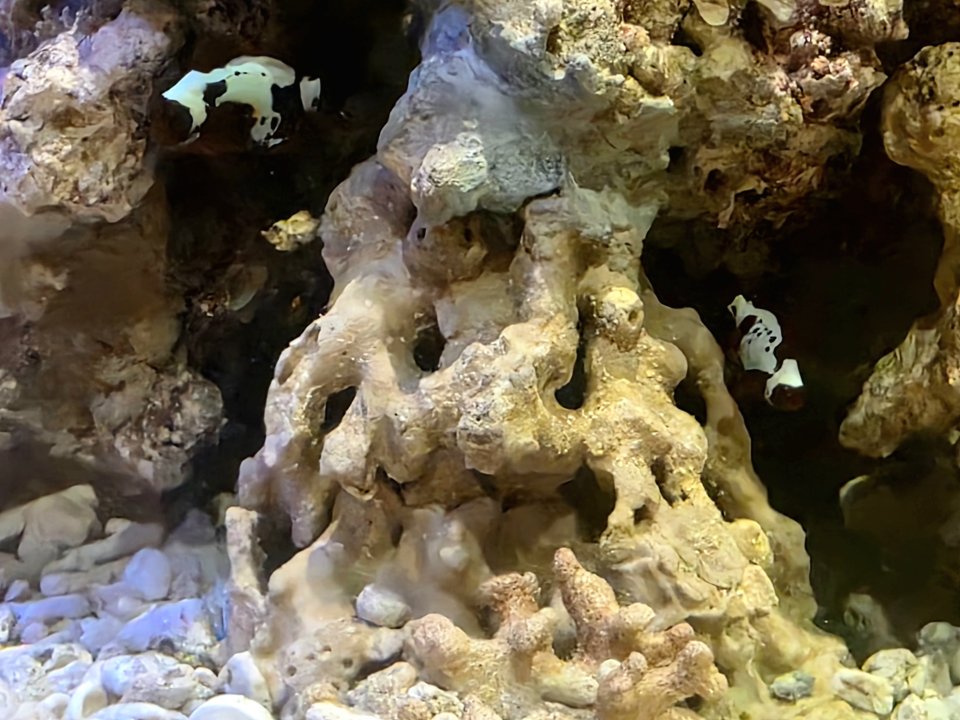 20251005_152256.jpg