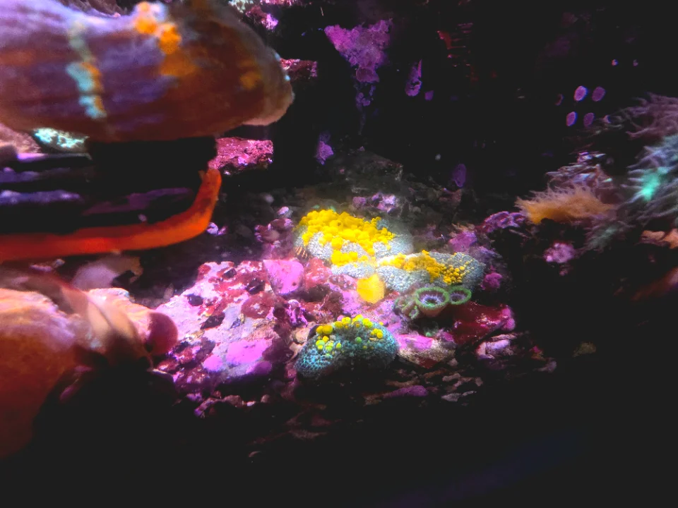 20260503_204329.webp