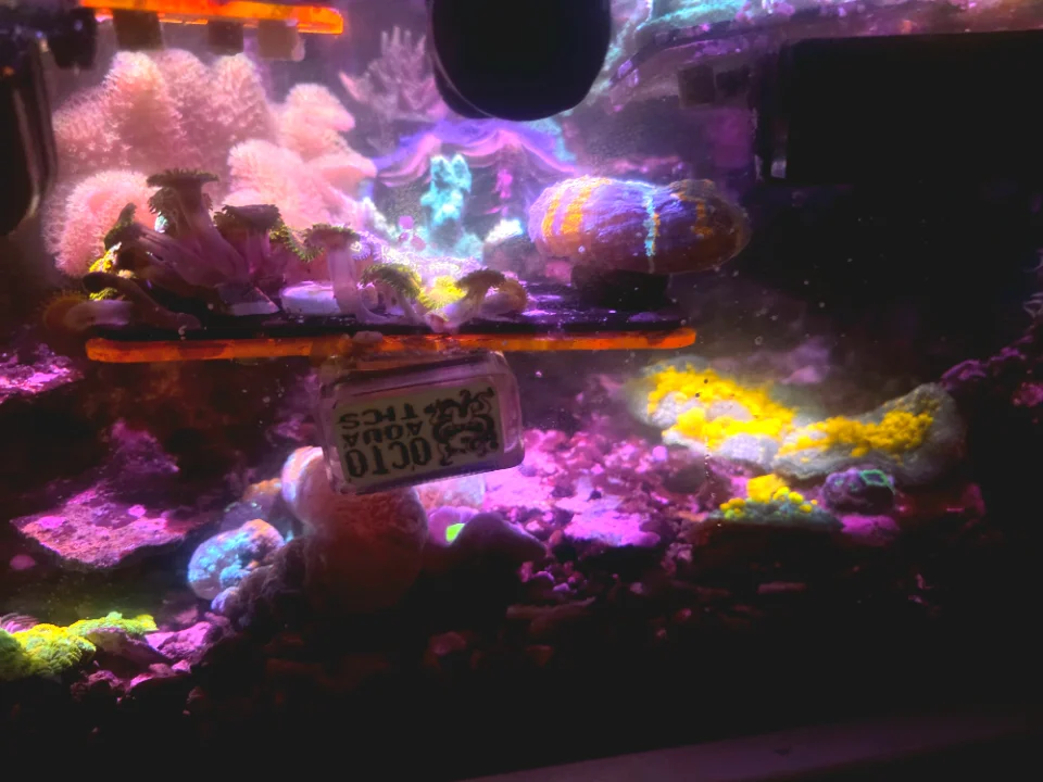 20260528_211604.webp