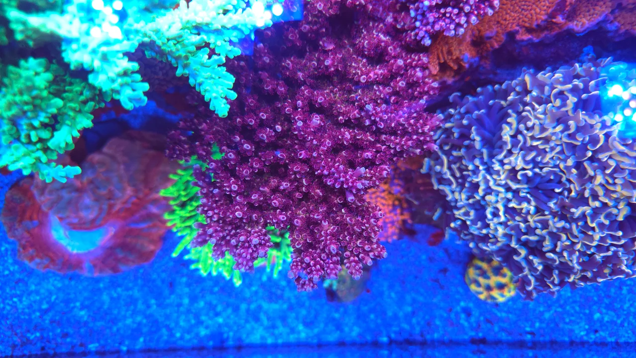 20260703_201111.webp
