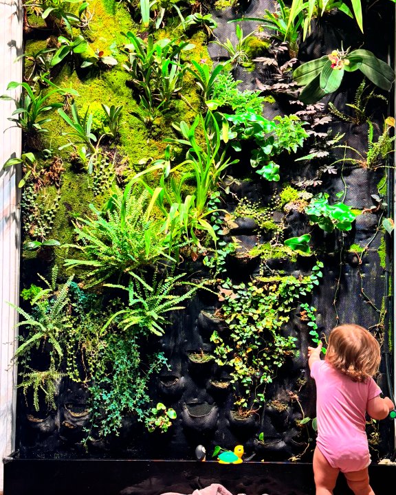 82D8064D-3BF8-4C92-BB08-BB9933C1DCA6.jpeg 82D8064D-3BF8-4C92-BB08-BB9933C1DCA6.jpeg