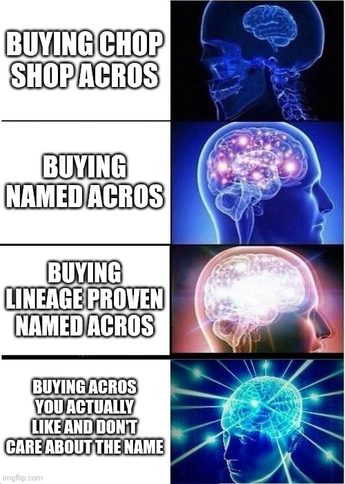 9vejsn.jpg