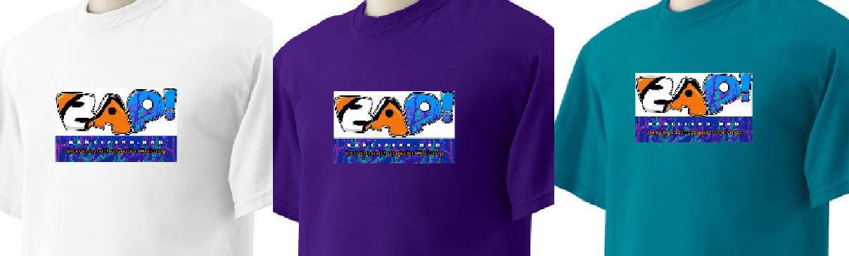 BAP T-Shirt Colors.jpg