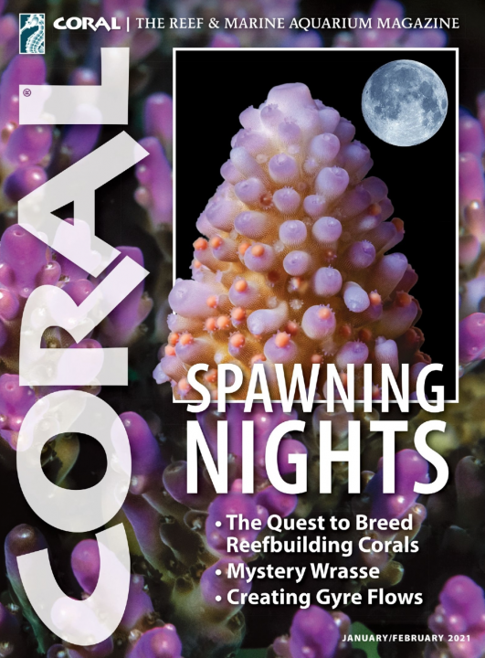 Coral cover 2021 1-2.png