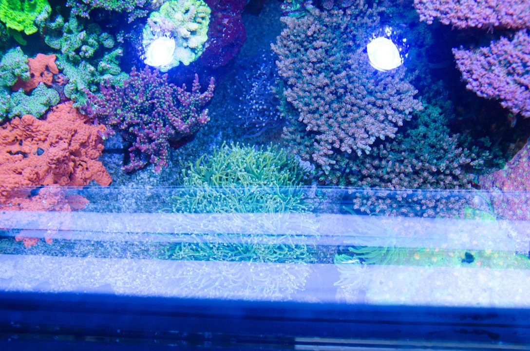 DSC_4853.jpg
