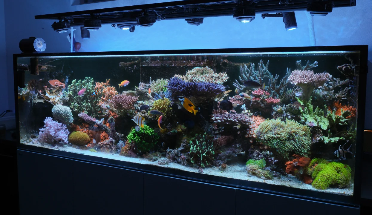 DSCF3313.webp
