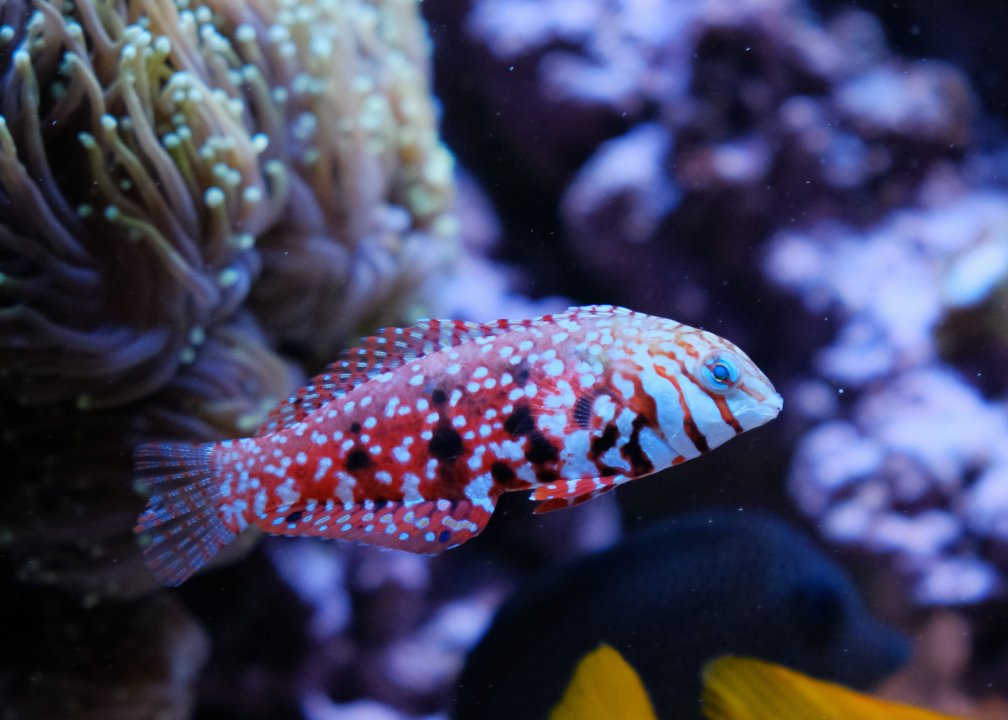 DSCF5365.JPG