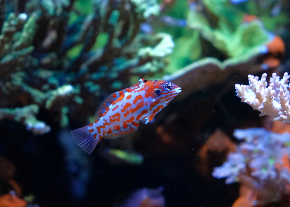 DSCF7534.JPG