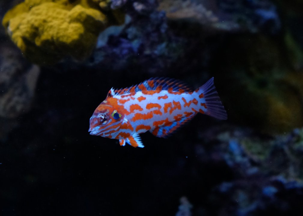 DSCF7574.JPG