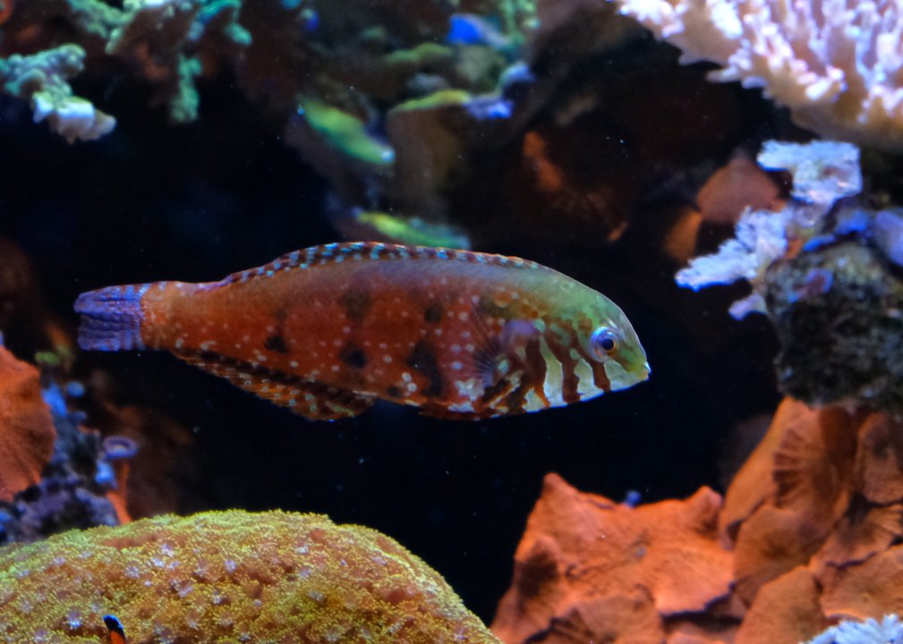 DSCF7578.JPG