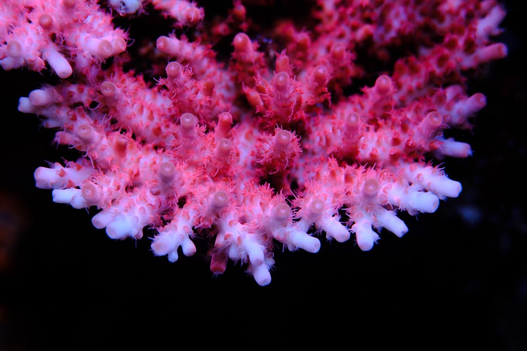 DSCF9749.jpg