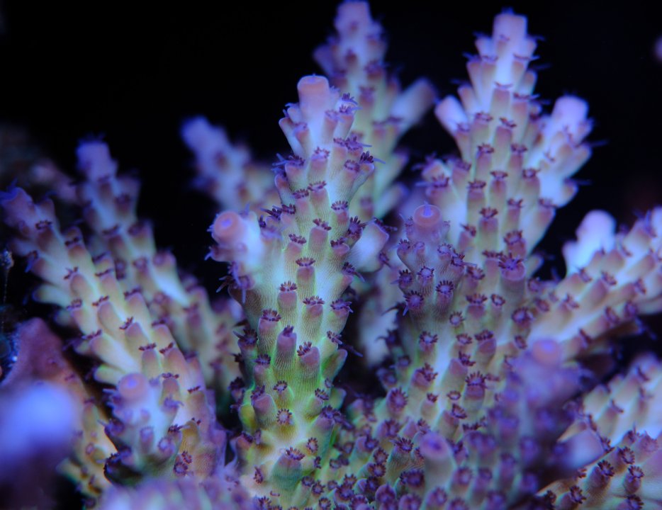 DSCF9770.jpg