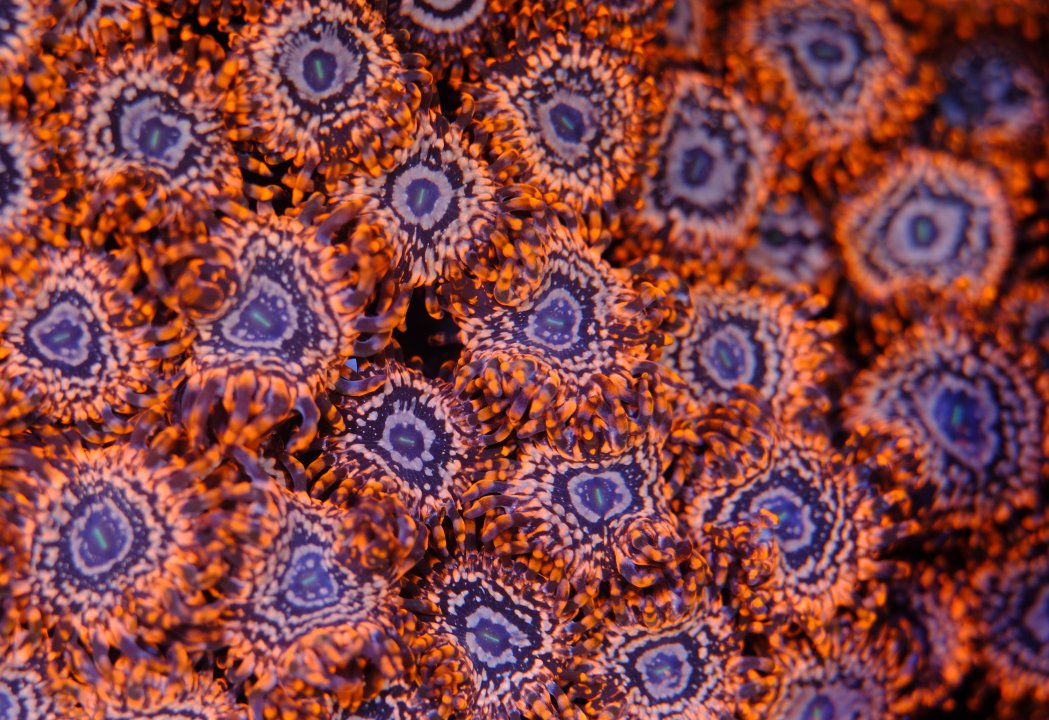 DSCF9771.jpg