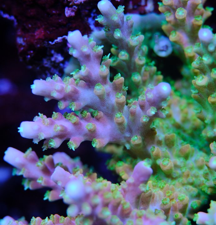 DSCF9785.jpg