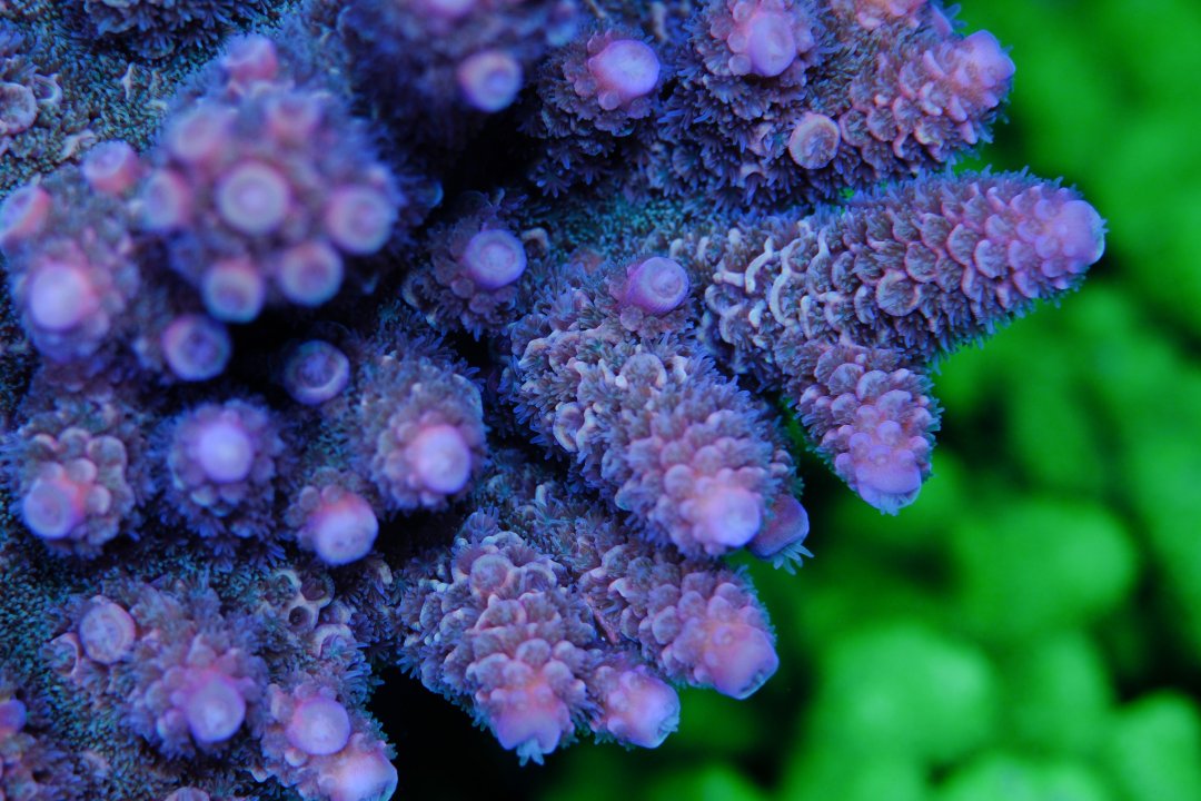 DSCF9798.jpg
