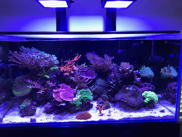 FTS 07.2019.jpg